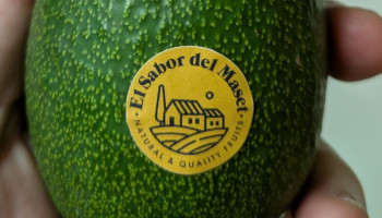 consumir aguacates