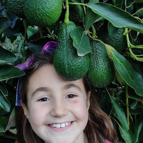 Mireia posando justo debajo de aguacates Lamb Hass