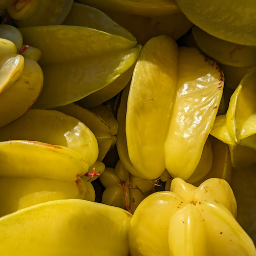 carambolas recién recolectadas