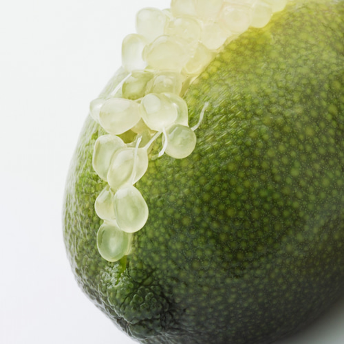 detalle de las bolitas de caviar cítrico