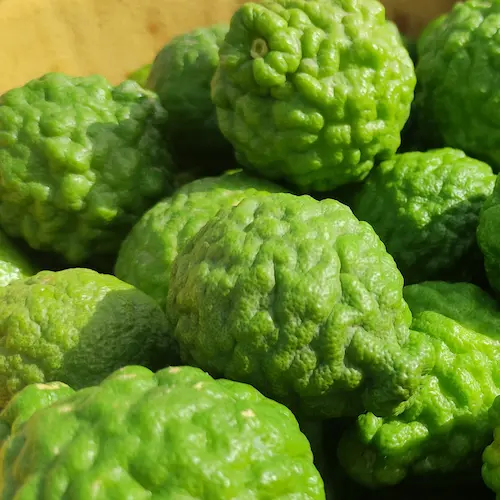detalle de la lima kaffir