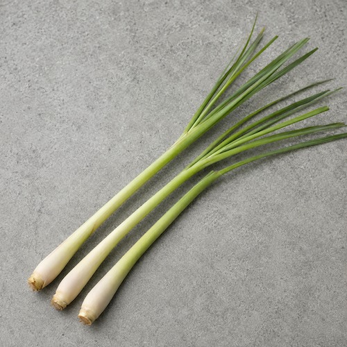 lemon grass preparado para enviar