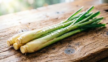 Comprar Lemon Grass fresco