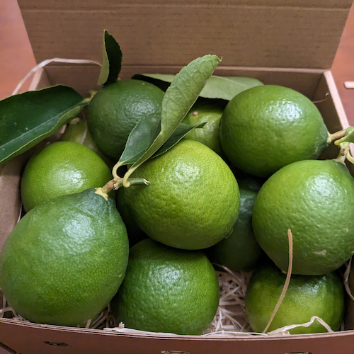 caja de limas preparadas para enviar