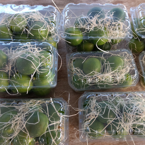 limas en cajas de plástico con viruta de madera