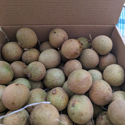 caja de cartón con longans preparados para enviar