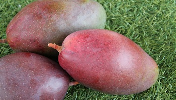 detalle fruta mangos