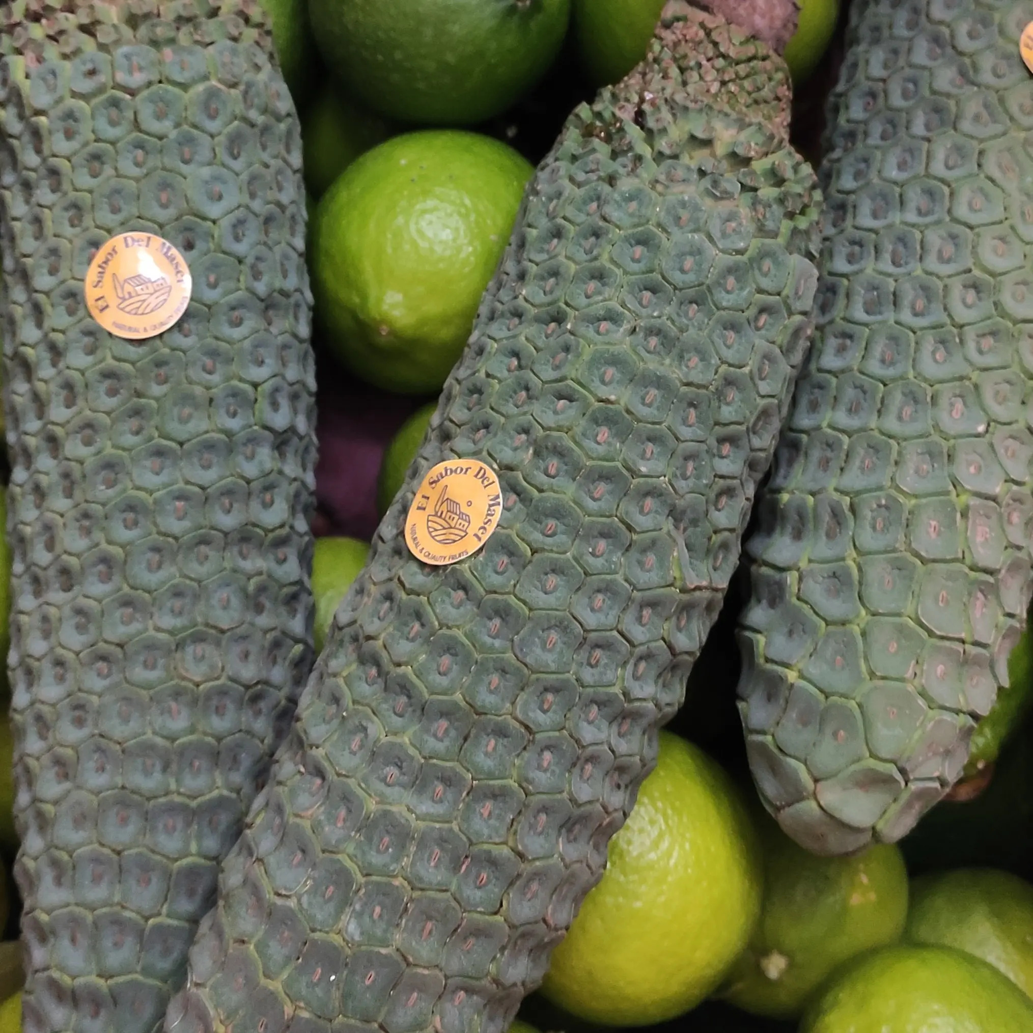 fruta de la costilla de adán preparada para enviar