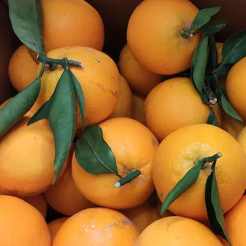 naranjas con hojas en la caja de cartón