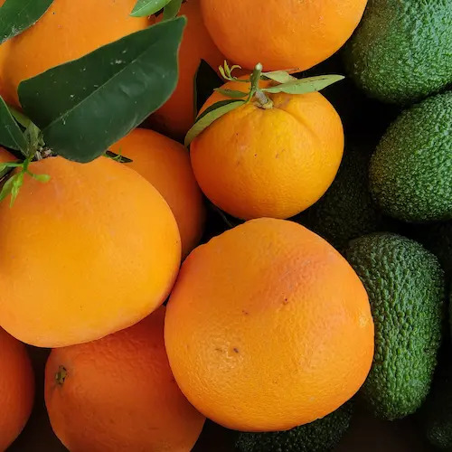 naranjas con hojas junto con aguacates en la caja para enviar