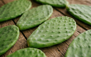 hojas frescas de nopales o chumberas