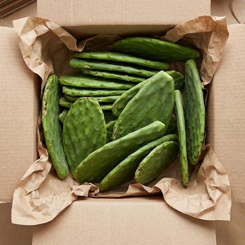 pencas de nopal tierno seleccionadas para envío a domicilio
