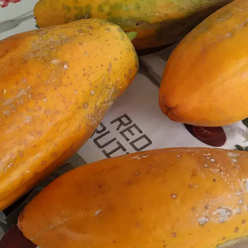 papayas maduras
