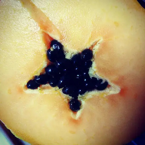 papaya madura cortada por la mitad