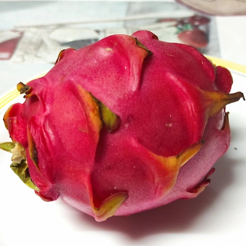 pitahaya rosa entera