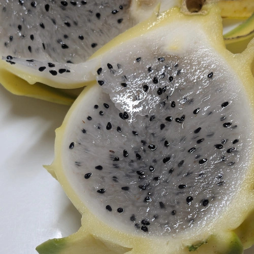 pitahaya amarilla cortada por la mitad