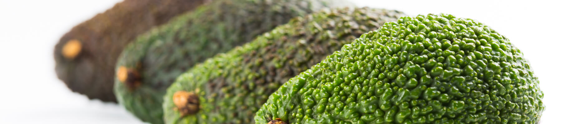 aguacates de verde a maduros